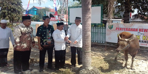 Bank Pembangunan Kalteng  Tamiang Layang Serahkan 3 Ekor Sapi kepada Pengurus Masjid