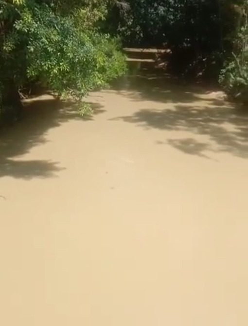 Diduga Aktivitas Tambang Batu Bara Penyebab Air Sungai Palili di Muara Inu Keruh dan Banyak Ikan Mati