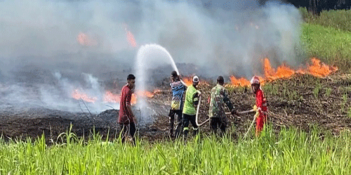 Waspada Dampak Dari El Nino - Kalamanthana