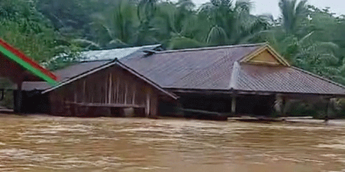 Banjir di Kapuas Tengah, Ribuan Rumah Terendam dan Warga Terdampak