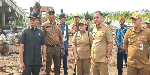 Wakil Bupati Kapuas Tinjau Jembatan Muara Terusan yang Ambruk