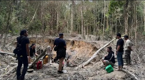 Nyari Emas di Kebun Sawit, Pria Ini Pun Dicokok Polisi