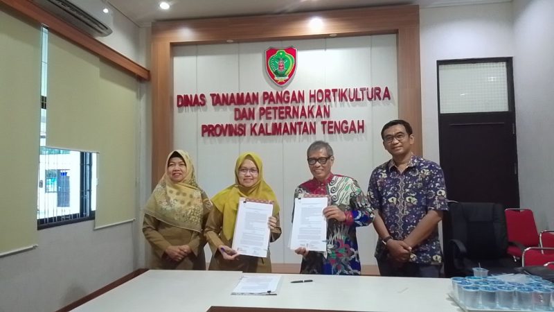 Dinas TPHP Kalteng Gandeng PT ANH Cetak Sawah di Enam Desa