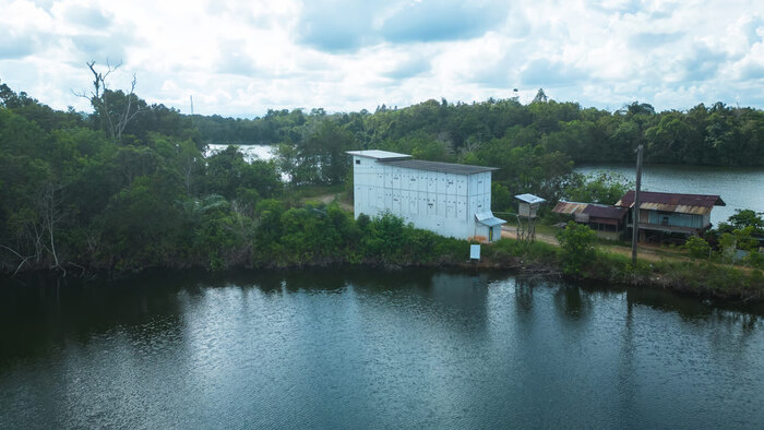 Echo Nusantara: Sarang Burung Walet Premium dari Hutan Kalimantan yang Murni dan Organik