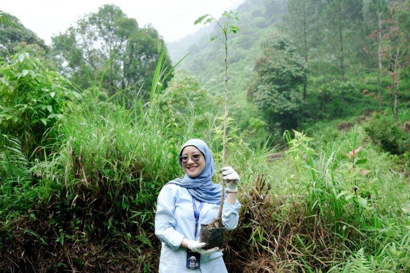 Wujud Nyata Komitmen Berkelanjutan, WSBP Kembali Tanam 318 Pohon Trembesi pada Bulan Mei 2025