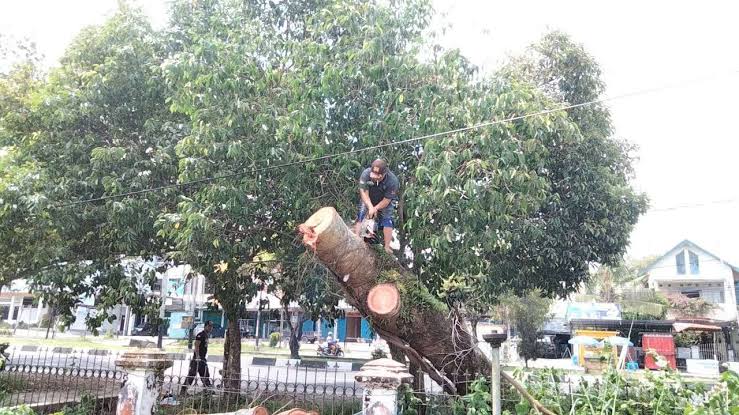 Rawan Bahaya, DPKP Minta Warga Hindari Area Berisiko Saat Hujan dan Angin Kencang