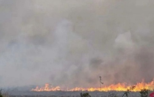 Karhutla Mulai Melanda Kalimantan Tengah, Dua Kabupaten Ini Jadi Bukti