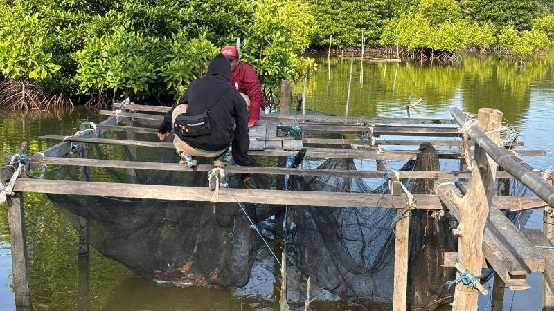 Legislator Kalteng Dorong Pengembangan Sektor Perikanan Berkelanjutan