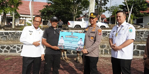 Jelang Iduladha, Pemprov Kalteng Salurkan 600 Ekor Sapi Kurban