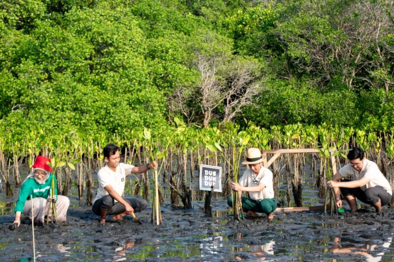 Carbon Offset Diuji Relevansinya, Ini Tanggapan Para Ahli