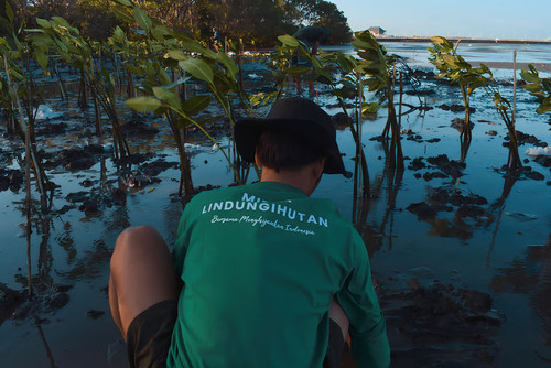 Donasi Mikro Kini Jadi Solusi Pemulihan Ekosistem di Program LindungiHutan