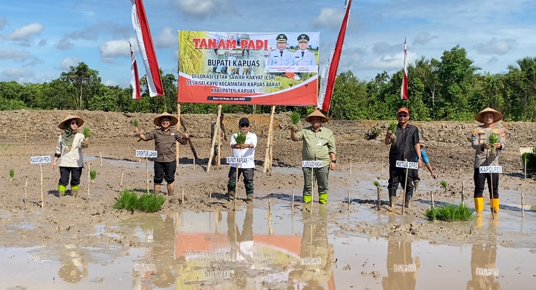 Bupati Kapuas dan Kementan RI Tanam Padi Bersama Program Cetak Sawah Rakyat