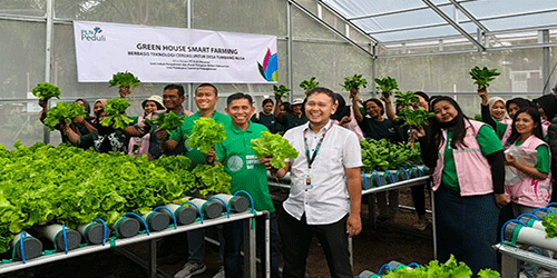 Dukung Ketahanan Pangan, PLN UPT Palangka Raya Luncurkan Program Smart Farming Hidroponik