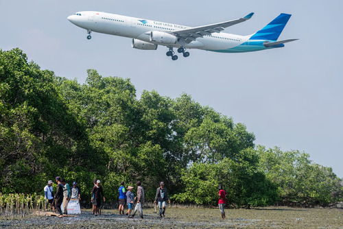 Pesisir Terancam, Mangrove Menjawab: Data Kerusakan dan Aksi Perbaikan 2025