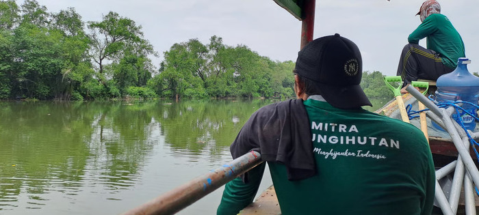 Surabaya hingga Semarang: Kota Pesisir yang Bangkit Lewat Hutan Mangrove