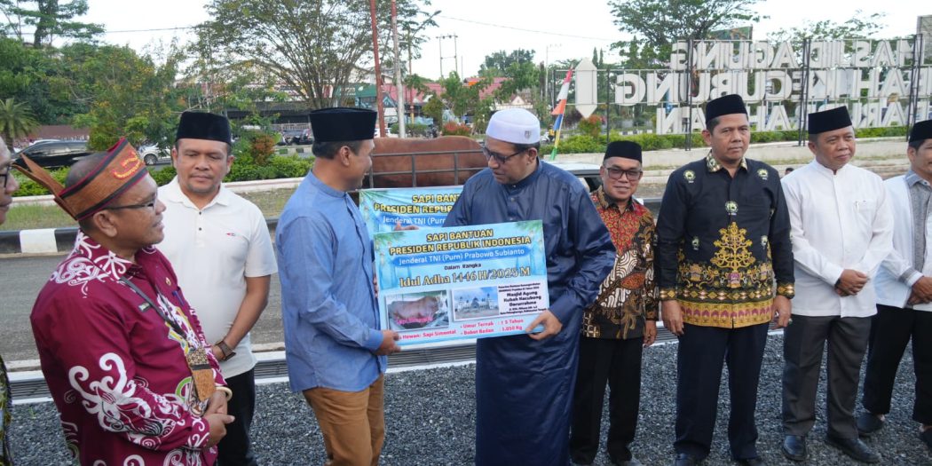 Wujud Kepedulian, Presiden RI Sumbang Sapi Kurban ke Palangka Raya