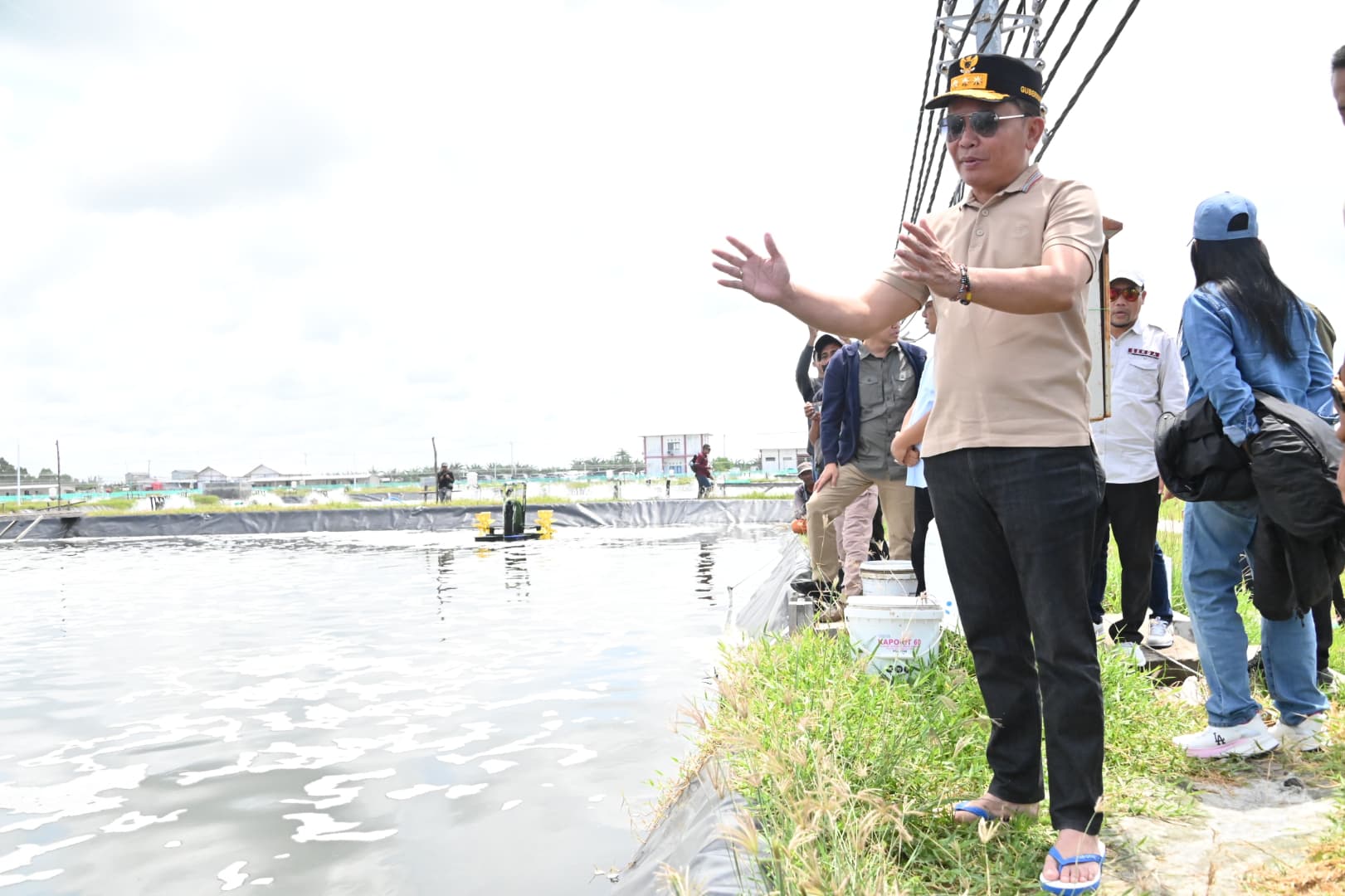 Gubernur Kalteng Tinjau Tambak Udang Sukamara, Targetkan Produksi Meningkat
