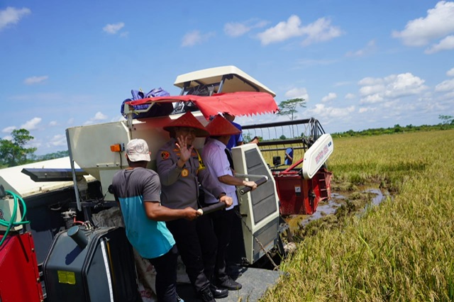 Panen Raya Padi Serentak, Gubernur Kalteng Apresiasi Kebijakan Presiden Prabowo untuk Petani