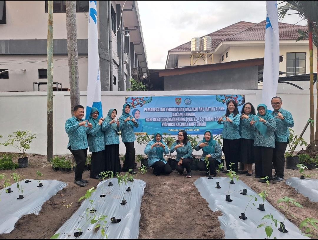 Gerakan Hijau PKK: Cabai di Pekarangan, Pangan untuk Keluarga