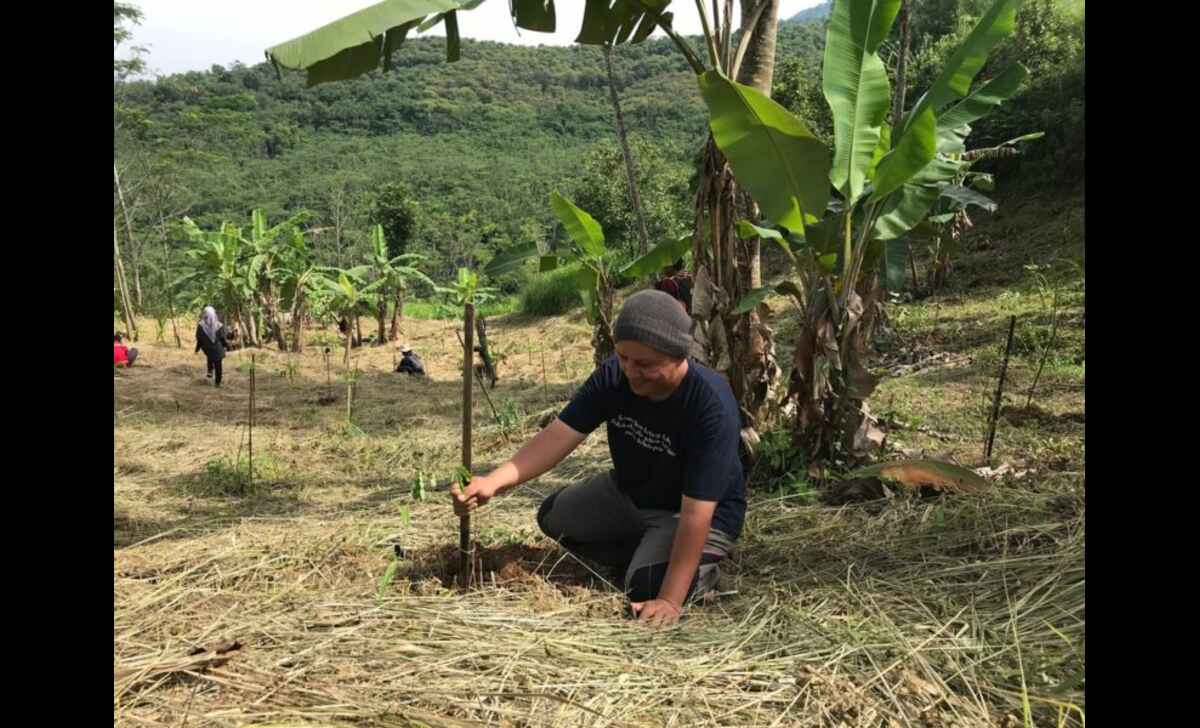 Ancaman Hilangnya Hutan Indonesia, Saatnya Meninjau Ulang Kebijakan Karbon Kita