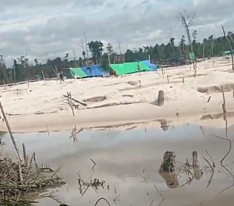 Kasus PETI di Mentaya Hulu Menguat, Mantan Pejabat KPK dan KLHK Angkat Bicara