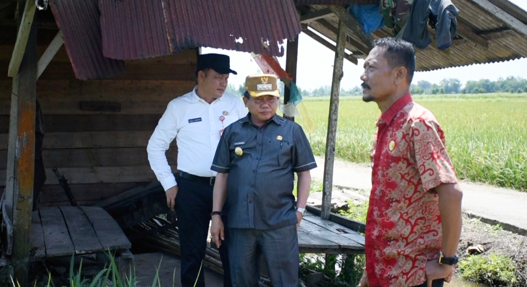 Bupati Kapuas Tinjau Persiapan Panen Raya 5.000 Hektare di Tamban Catur