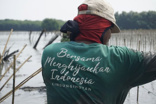 LindungiHutan Dorong Tebus Jejak Karbon dengan Penanaman Pohon