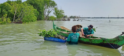 Hari Populasi Dunia, Kampanye Tanam Pohon di Bedono Jadi Contoh Mitigasi Abrasi Pesisir