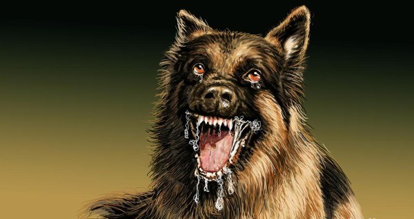 Pemkab Barito Utara Keluarkan Imbauan Cegah Penyakit Rabies