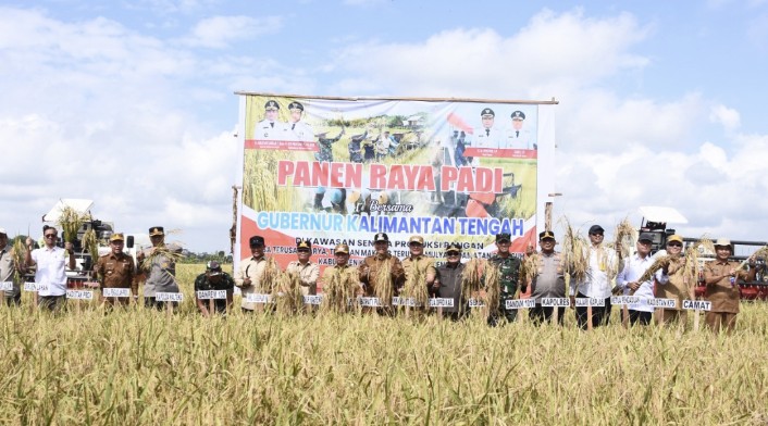 Gubernur Kalteng dan Bupati Kapuas Panen Padi di Desa Terusan