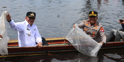 Bupati Barito Timur Tebar 30 Ribu Bibit Ikan di Danau Dayu
