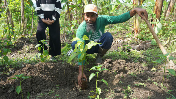 15 Ribu Pohon Ditanam di Jabungan, Warga Masih Menanti Manfaat Ekonomi