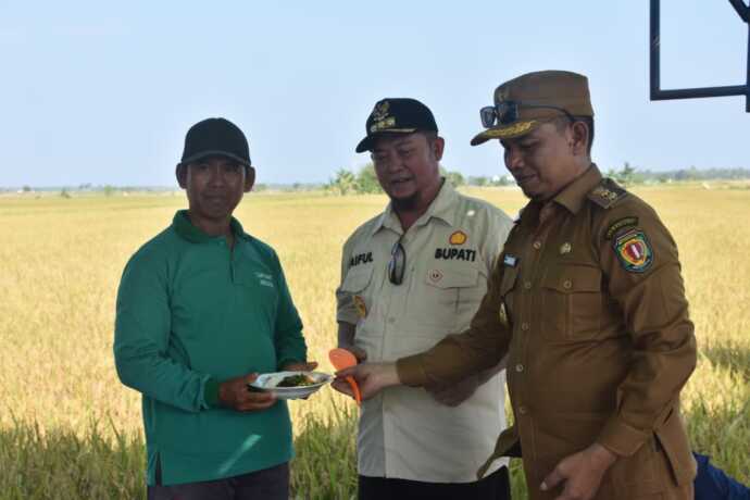 Katingan Siapkan Lumbung Pangan Baru, Tak Lagi Bergantung pada Satu Wilayah