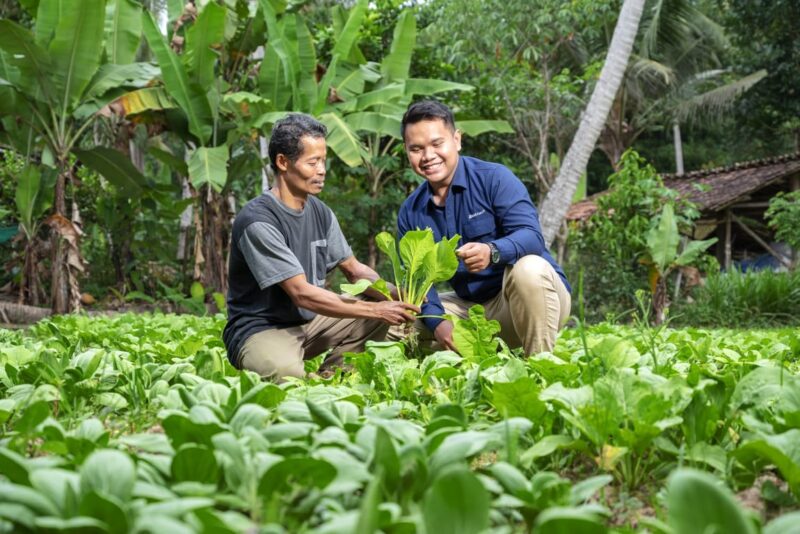 Swasembada Pangan Nasional, MIND ID Berdayakan Petani
