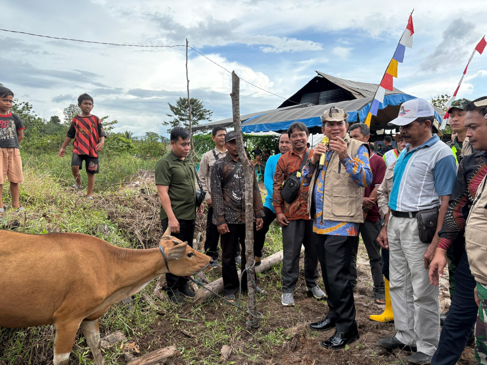 Barito Timur Dorong Ketahanan Pangan Lewat Bantuan Bibit Sapi Bali