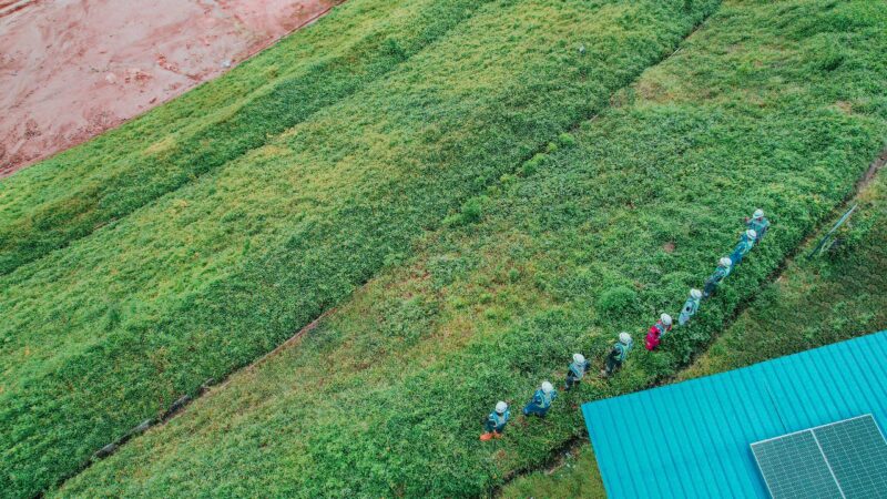 PTPP Terapkan Hydroseeding di Bendungan Bagong Trenggalek, Pionir Infrastruktur Hijau