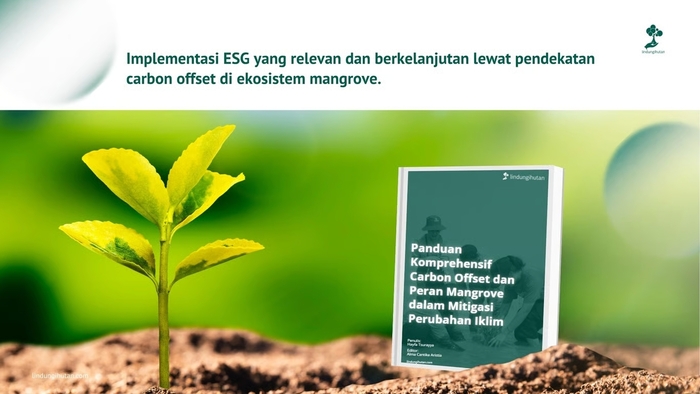 Carbon Offset Lewat Mangrove: LindungiHutan Rilis eBook Panduan di Tengah Krisis Iklim
