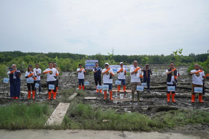 Pelindo Multi Terminal Group Tanam 11.000 Mangrove Bawa Manfaat Bagi Masyarakat