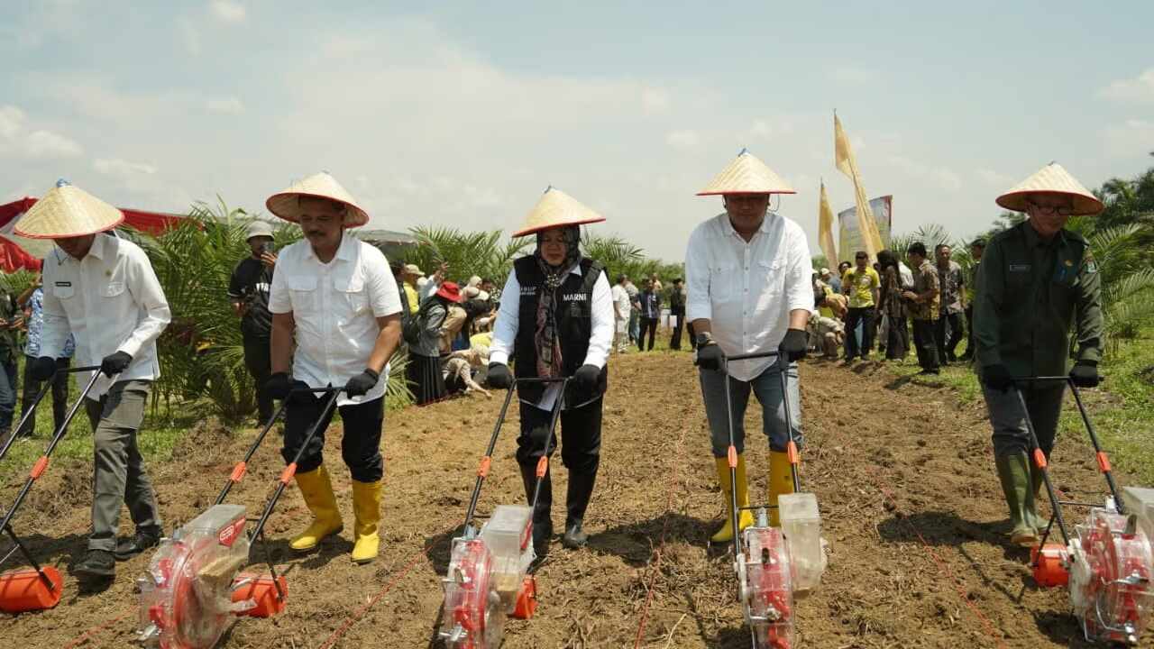 Dukung Swasembada Pangan Nasional, Holding Perkebunan Nusantara Laksanakan Tanam Perdana Padi Gogo di Lahan PSR