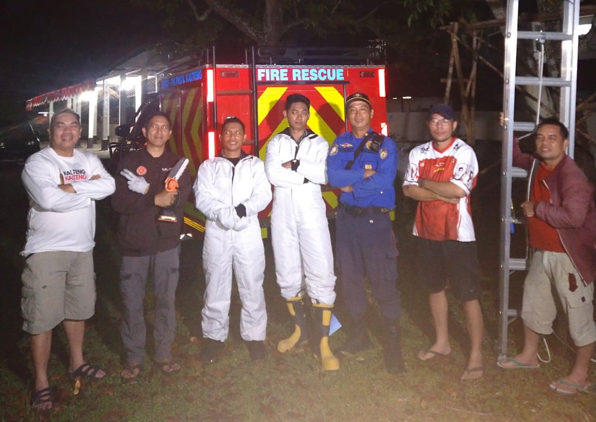 BPBD Kalteng Evakuasi Sarang Tawon Berbahaya