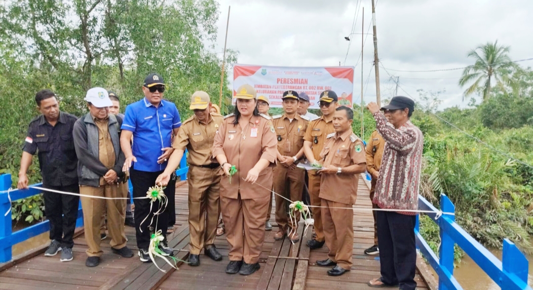Jembatan Penyeberangan Panamas Diresmikan, Hubungkan Panamas–Pangkalan Rekan
