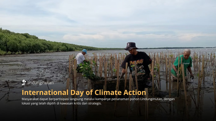 International Day of Climate Action: Saatnya Bumi Butuh Tindakan Nyata, Tanam Pohon Jadi Solusi Konkret