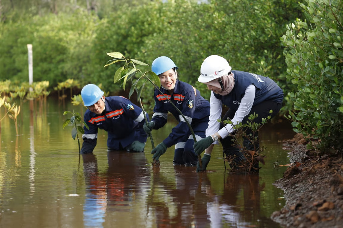 Pemerintah Dorong Tata Kelola Tambang Berkelanjutan
