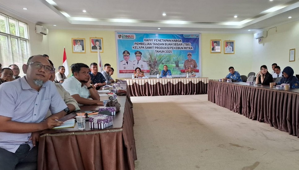 Harga TBS Sawit Kalteng Naik, Indeks K Capai 90,12 Persen