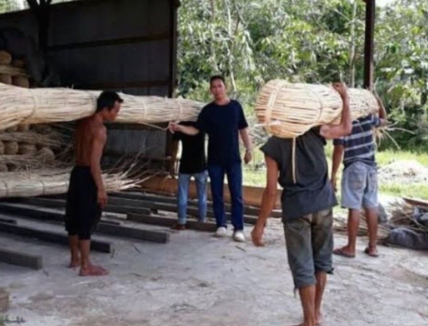 Rotan Katingan Tembus Pasar Internasional