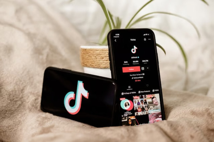 Riset: Gen Z Lebih Percaya Info Dari TikTok Daripada Google
