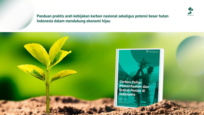 LindungiHutan Luncurkan eBook “Carbon Policy” untuk Dorong Transisi Karbon di Indonesia