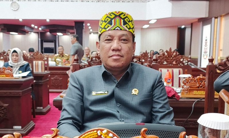 Wahai Pemerintah Provinsi, Wilayah Barito Juga Perlu RS Rujukan