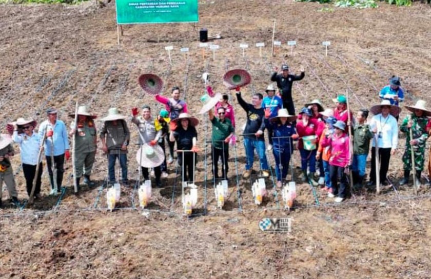Heriyus Dorong Swasembada Lewat Jagung Hibrida