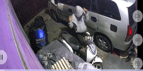 Terekam CCTV, Pelaku Panjat Pagar Curi Telur Ayam
